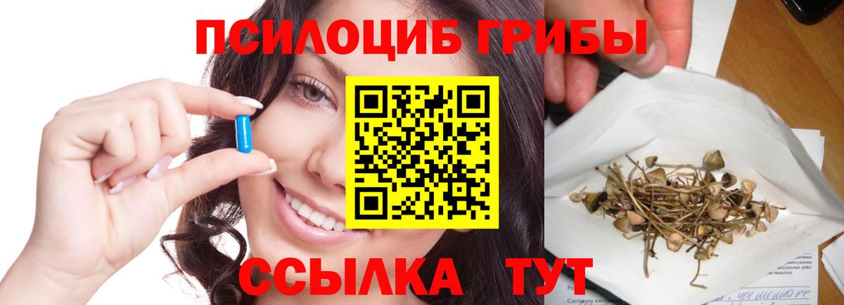 Галлюциногенные грибы MAGIC MUSHROOMS  Вход с VPN  Надым 